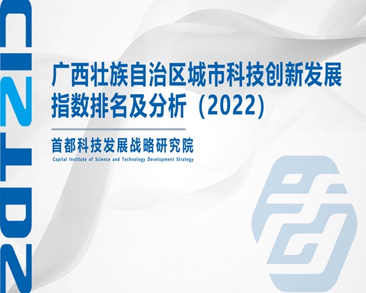 我操我插网址【成果发布】广西壮族自治区城市科技创新发展指数排名及分析（2022）